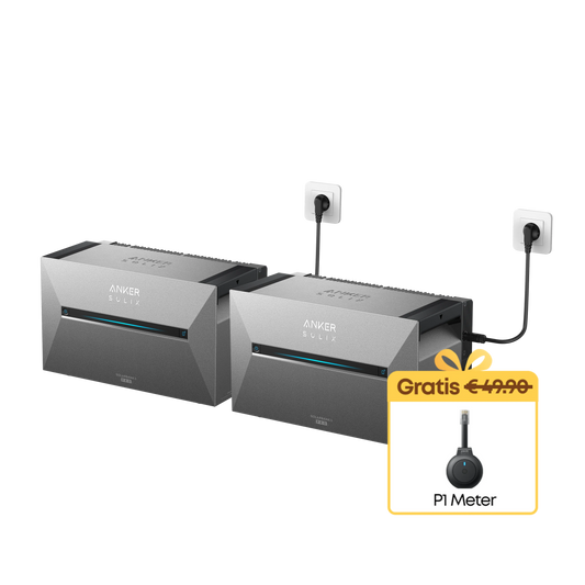 Complete set 2400W AC-vermogen + 5.4kWh incl. P1 meter