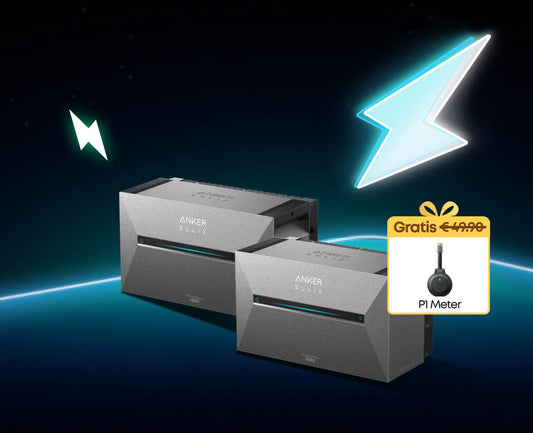 Complete set 2400W AC-vermogen + 5.4kWh incl. P1 meter